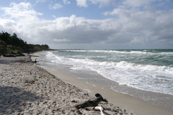Weststrand des Darß Weststrand